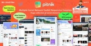 Pitnik website design and SEO company