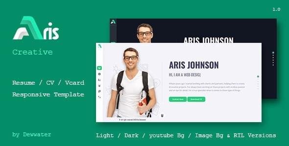 Aries Portfolio theme website design and SEO company